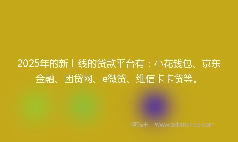 2025年的新上线的贷款平台有：小花钱包、京东金融、团贷网、e微贷、维信卡卡贷等。