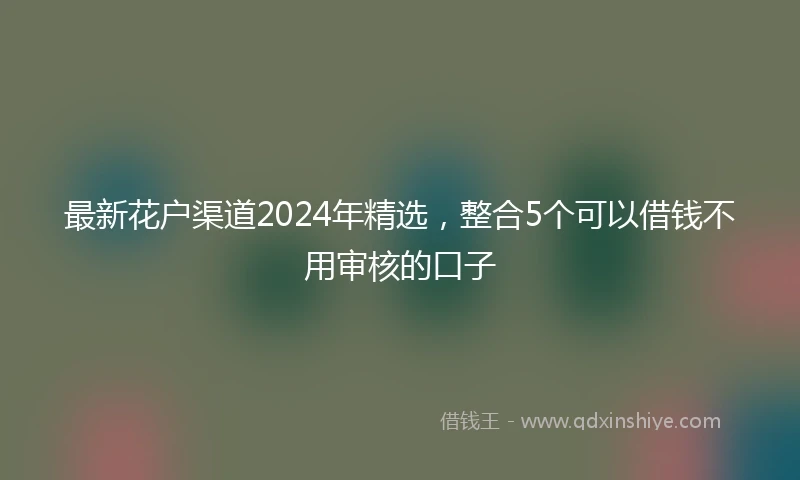 最新花户渠道2024年精选，整合5个可以借钱不用审核的口子