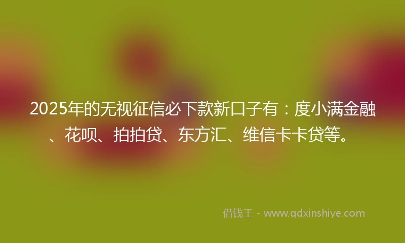 2025年的无视征信必下款新口子有：度小满金融、花呗、拍拍贷、东方汇、维信卡卡贷等。