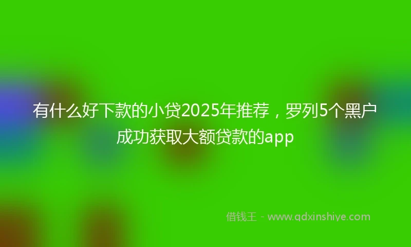 有什么好下款的小贷2025年推荐，罗列5个黑户成功获取大额贷款的app