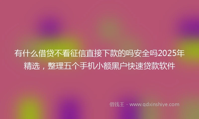 有什么借贷不看征信直接下款的吗安全吗2025年精选，整理五个手机小额黑户快速贷款软件