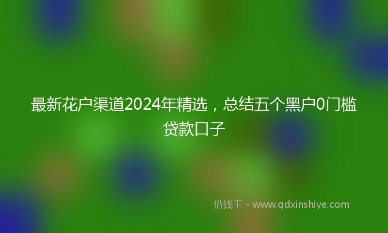最新花户渠道2024年精选，总结五个黑户0门槛贷款口子