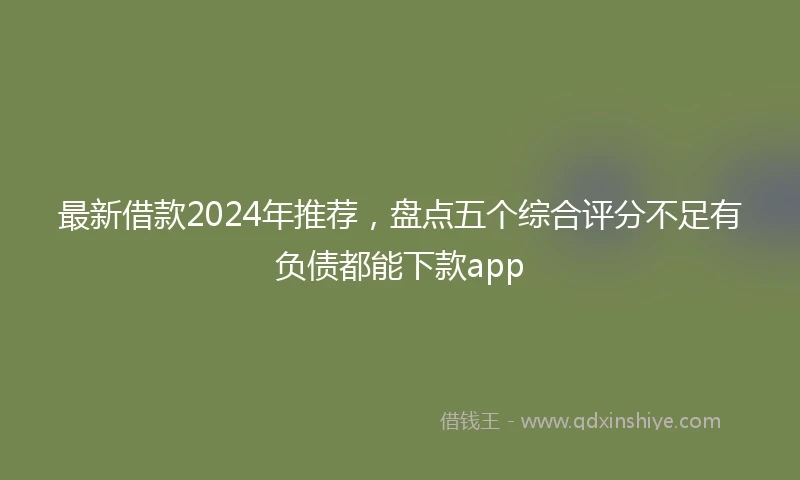 最新借款2024年推荐，盘点五个综合评分不足有负债都能下款app
