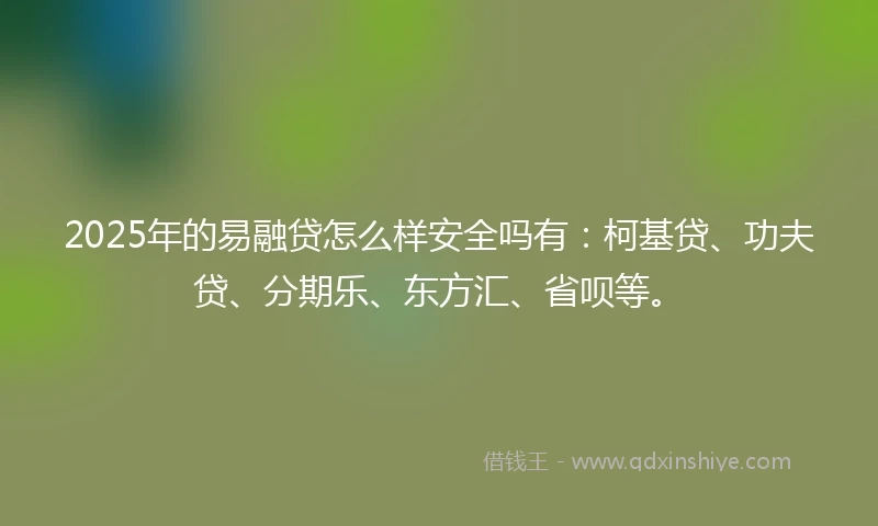 2025年的易融贷怎么样安全吗有：柯基贷、功夫贷、分期乐、东方汇、省呗等。