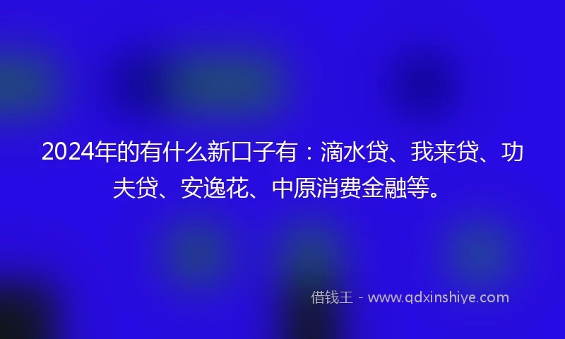 2024年的有什么新口子有：滴水贷、我来贷、功夫贷、安逸花、中原消费金融等。
