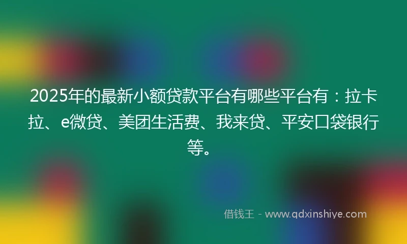 2025年的最新小额贷款平台有哪些平台有：拉卡拉、e微贷、美团生活费、我来贷、平安口袋银行等。