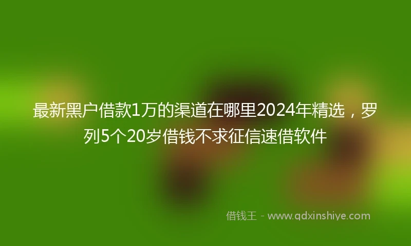 最新黑户借款1万的渠道在哪里2024年精选，罗列5个20岁借钱不求征信速借软件