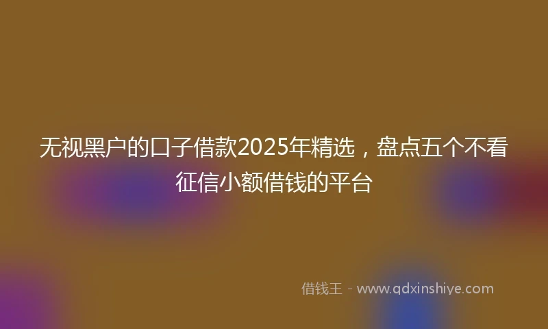 无视黑户的口子借款2025年精选，盘点五个不看征信小额借钱的平台