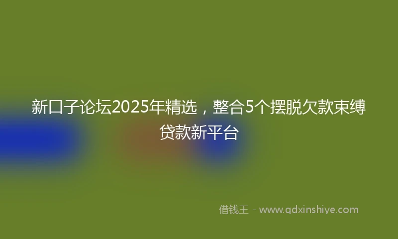 新口子论坛2025年精选，整合5个摆脱欠款束缚贷款新平台