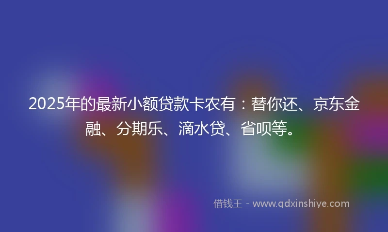 2025年的最新小额贷款卡农有：替你还、京东金融、分期乐、滴水贷、省呗等。