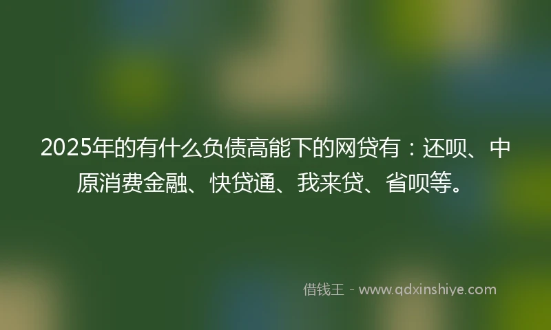 2025年的有什么负债高能下的网贷有：还呗、中原消费金融、快贷通、我来贷、省呗等。