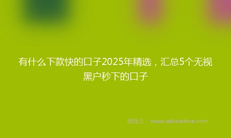 有什么下款快的口子2025年精选，汇总5个无视黑户秒下的口子