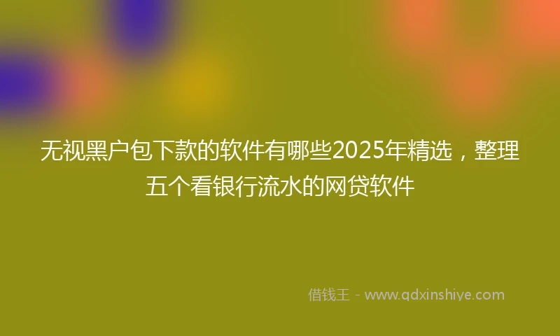 无视黑户包下款的软件有哪些2025年精选，整理五个看银行流水的网贷软件