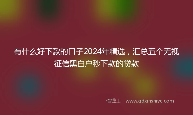 有什么好下款的口子2024年精选，汇总五个无视征信黑白户秒下款的贷款