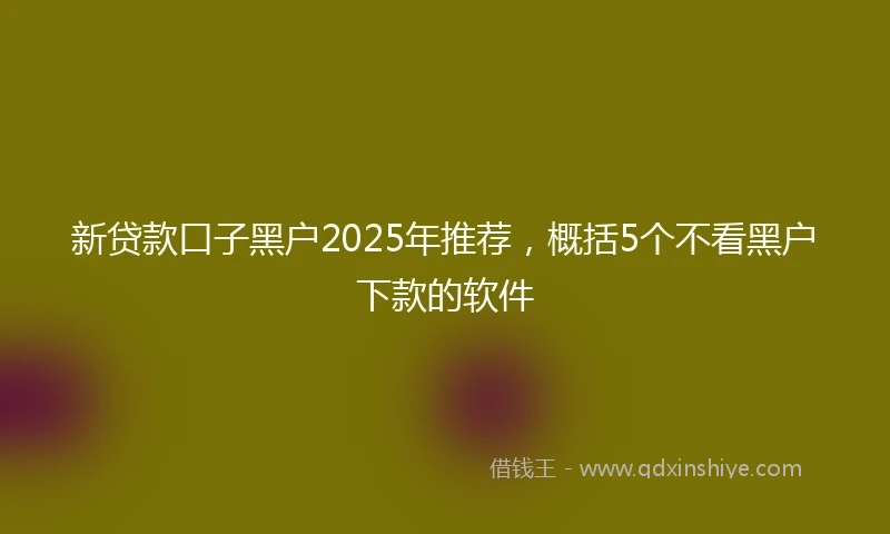 新贷款口子黑户2025年推荐，概括5个不看黑户下款的软件