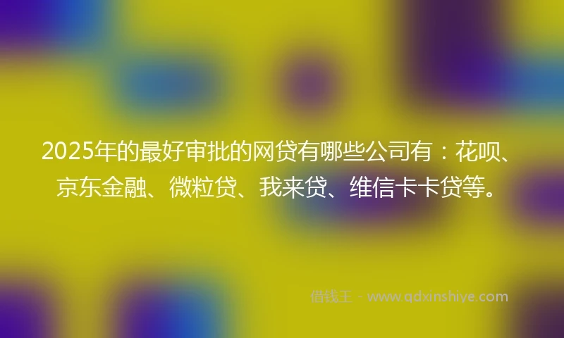 2025年的最好审批的网贷有哪些公司有：花呗、京东金融、微粒贷、我来贷、维信卡卡贷等。