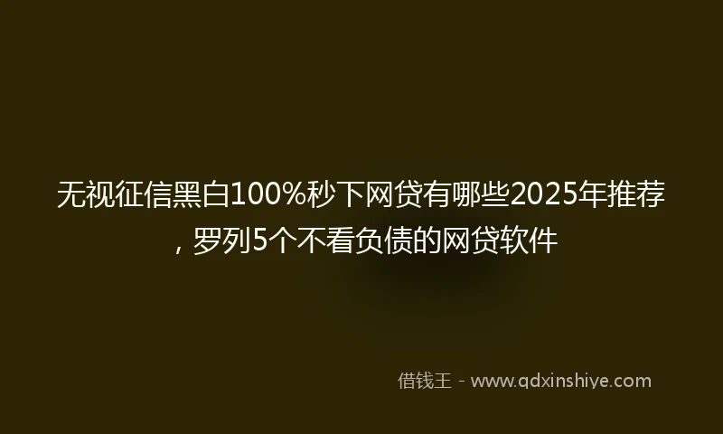 无视征信黑白100%秒下网贷有哪些2025年推荐，罗列5个不看负债的网贷软件