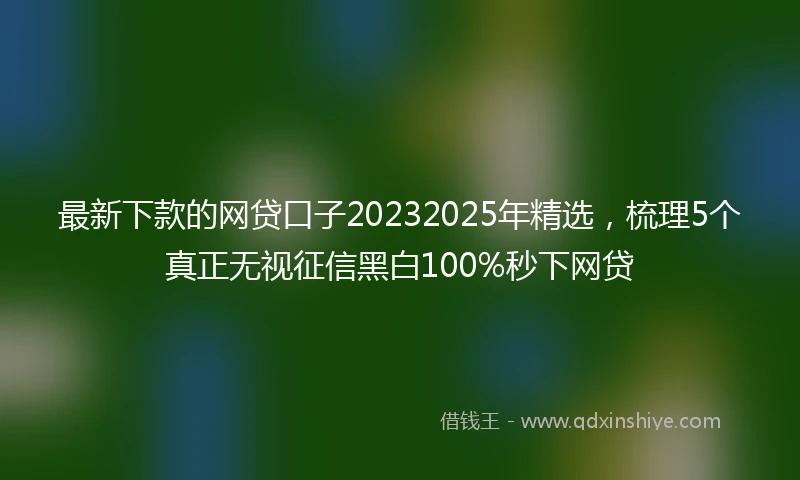 最新下款的网贷口子20232025年精选，梳理5个真正无视征信黑白100%秒下网贷