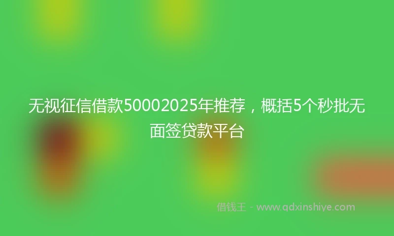 无视征信借款50002025年推荐，概括5个秒批无面签贷款平台
