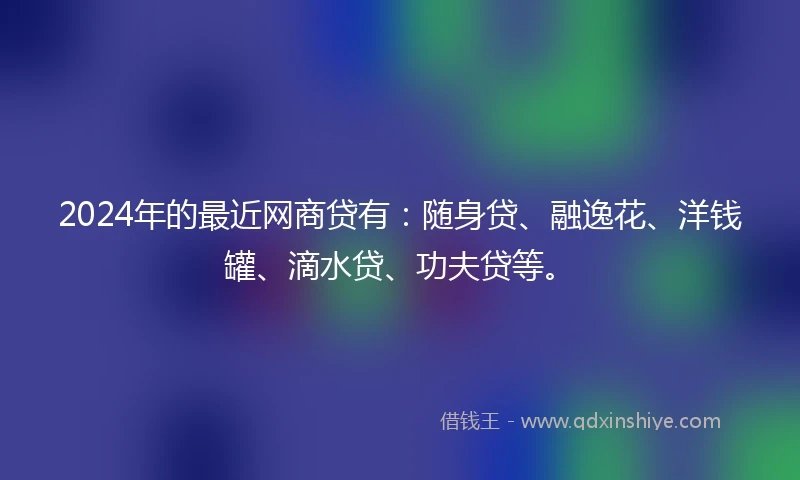 2024年的最近网商贷有：随身贷、融逸花、洋钱罐、滴水贷、功夫贷等。