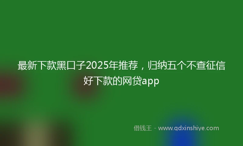 最新下款黑口子2025年推荐，归纳五个不查征信好下款的网贷app