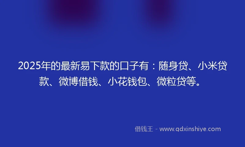 2025年的最新易下款的口子有：随身贷、小米贷款、微博借钱、小花钱包、微粒贷等。