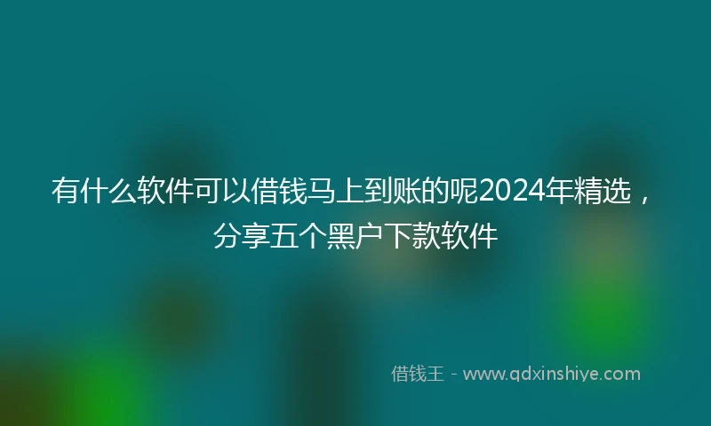 有什么软件可以借钱马上到账的呢2024年精选，分享五个黑户下款软件