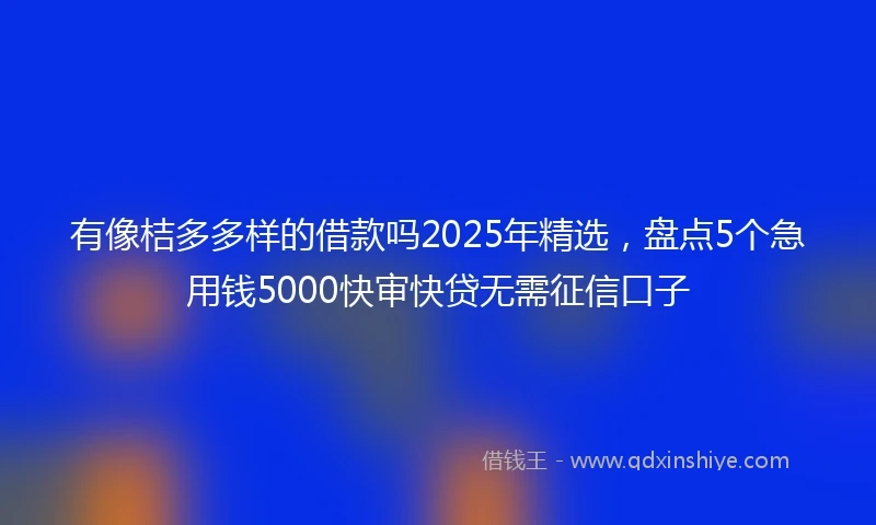 有像桔多多样的借款吗2025年精选，盘点5个急用钱5000快审快贷无需征信口子