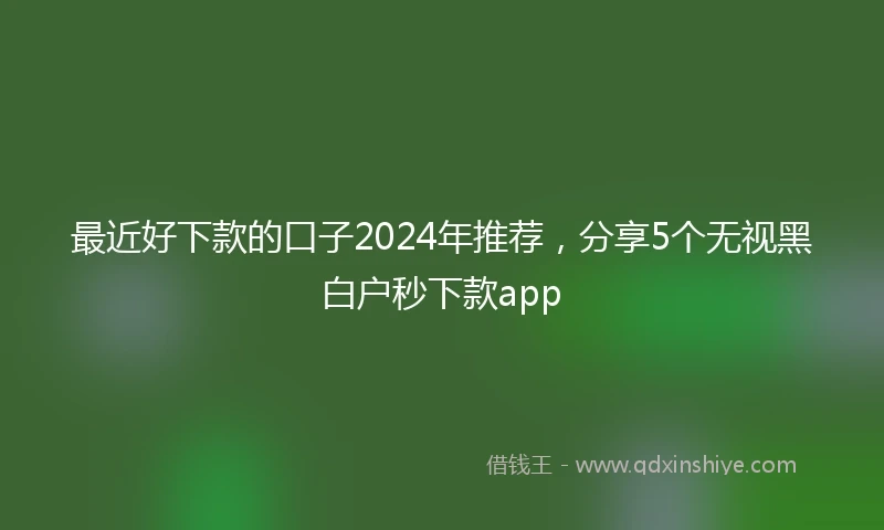 最近好下款的口子2024年推荐，分享5个无视黑白户秒下款app