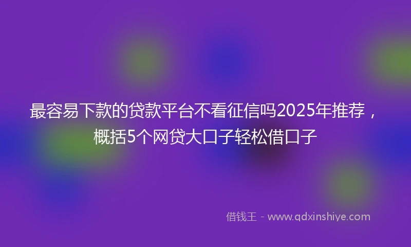 最容易下款的贷款平台不看征信吗2025年推荐，概括5个网贷大口子轻松借口子