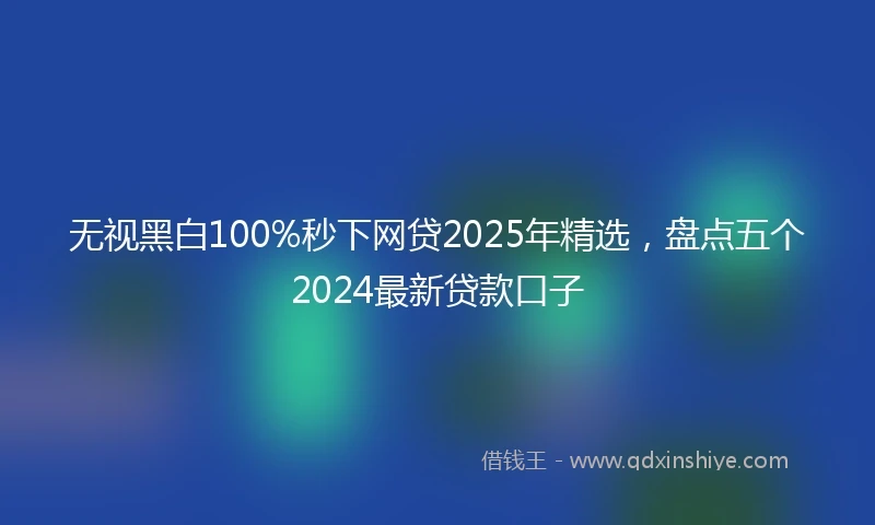 无视黑白100%秒下网贷2025年精选，盘点五个2024最新贷款口子