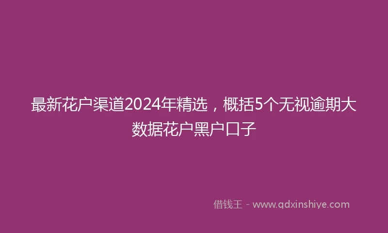 最新花户渠道2024年精选，概括5个无视逾期大数据花户黑户口子
