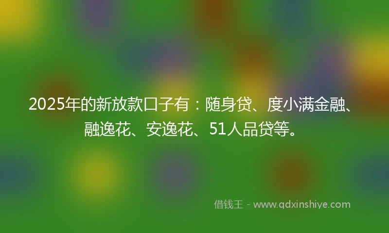 2025年的新放款口子有：随身贷、度小满金融、融逸花、安逸花、51人品贷等。