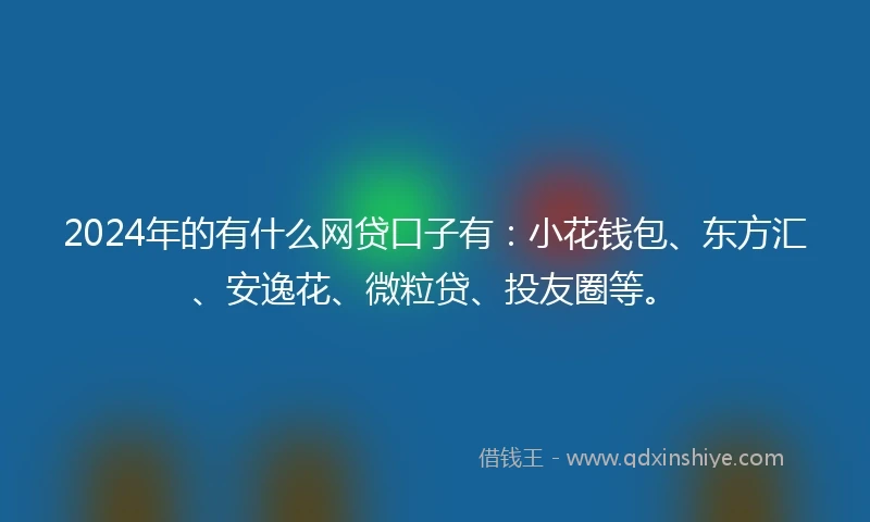 2024年的有什么网贷口子有：小花钱包、东方汇、安逸花、微粒贷、投友圈等。