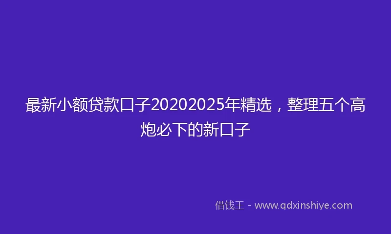 最新小额贷款口子20202025年精选，整理五个高炮必下的新口子