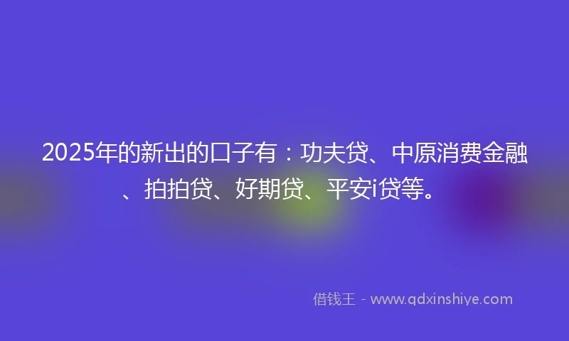 2025年的新出的口子有：功夫贷、中原消费金融、拍拍贷、好期贷、平安i贷等。