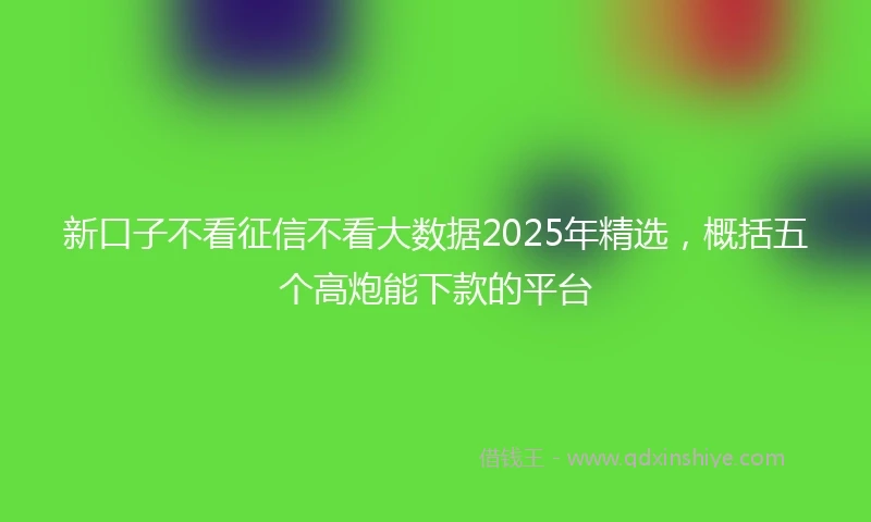 新口子不看征信不看大数据2025年精选，概括五个高炮能下款的平台