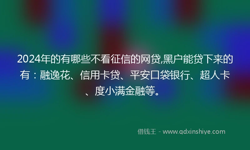 2024年的有哪些不看征信的网贷,黑户能贷下来的有：融逸花、信用卡贷、平安口袋银行、超人卡、度小满金融等。