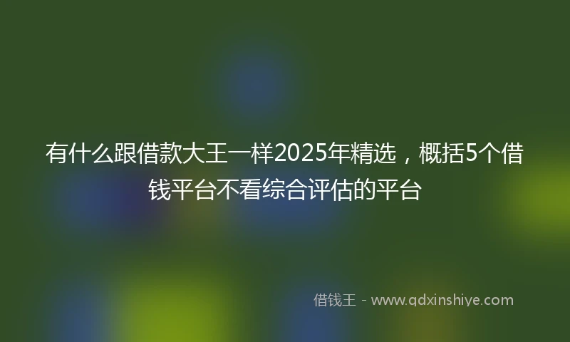 有什么跟借款大王一样2025年精选,概括5个借钱平台不看综合评估的平台