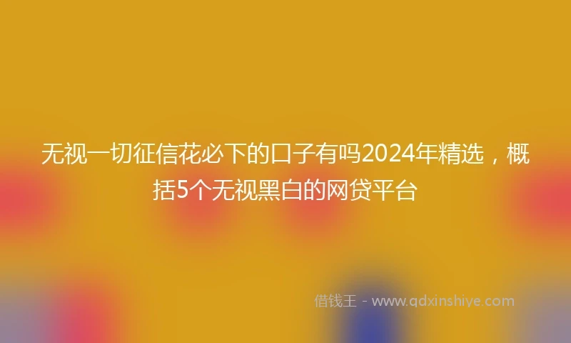 无视一切征信花必下的口子有吗2024年精选，概括5个无视黑白的网贷平台