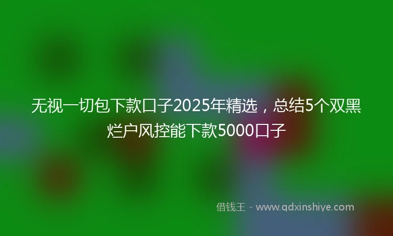 无视一切包下款口子2025年精选，总结5个双黑烂户风控能下款5000口子