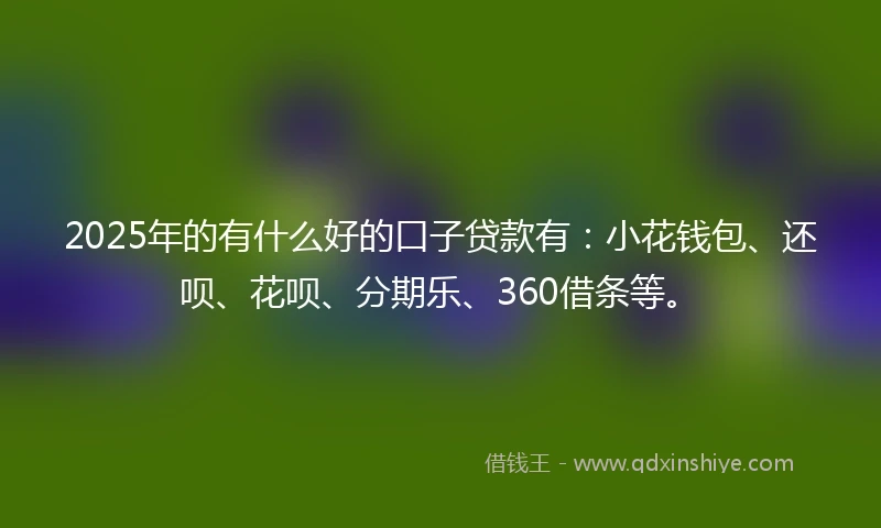 2025年的有什么好的口子贷款有：小花钱包、还呗、花呗、分期乐、360借条等。