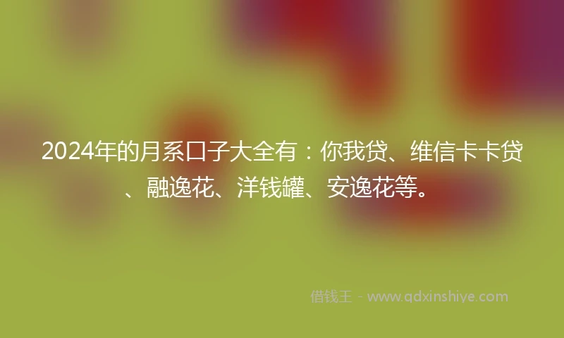 2024年的月系口子大全有：你我贷、维信卡卡贷、融逸花、洋钱罐、安逸花等。