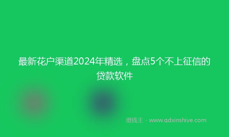 最新花户渠道2024年精选，盘点5个不上征信的贷款软件