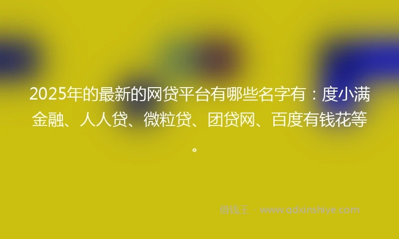 2025年的最新的网贷平台有哪些名字有：度小满金融、人人贷、微粒贷、团贷网、百度有钱花等。