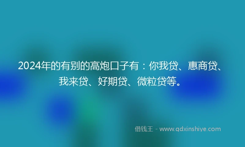 2024年的有别的高炮口子有：你我贷、惠商贷、我来贷、好期贷、微粒贷等。