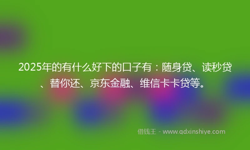 2025年的有什么好下的口子有：随身贷、读秒贷、替你还、京东金融、维信卡卡贷等。