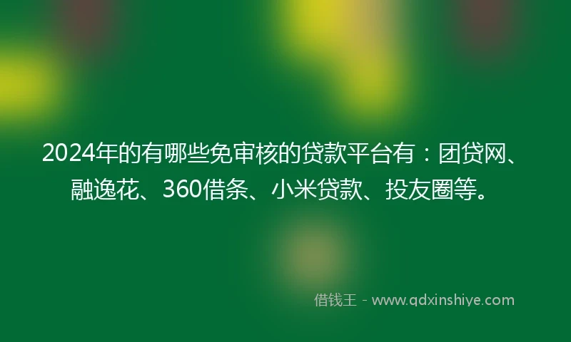 2024年的有哪些免审核的贷款平台有：团贷网、融逸花、360借条、小米贷款、投友圈等。