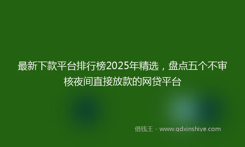 最新下款平台排行榜2025年精选，盘点五个不审核夜间直接放款的网贷平台