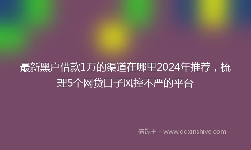 最新黑户借款1万的渠道在哪里2024年推荐，梳理5个网贷口子风控不严的平台